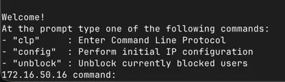 Serial Console Output
